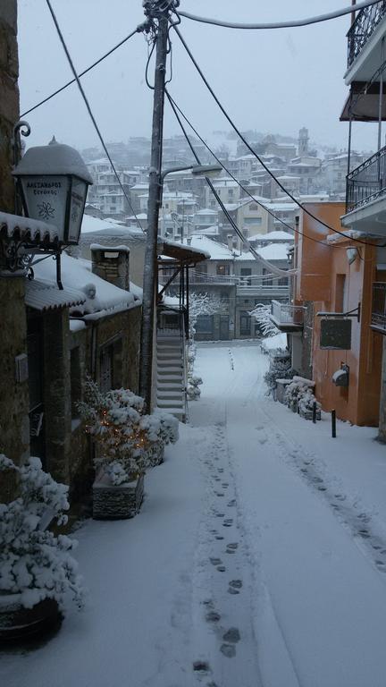 Alexandros Guesthouse Arachova Luaran gambar