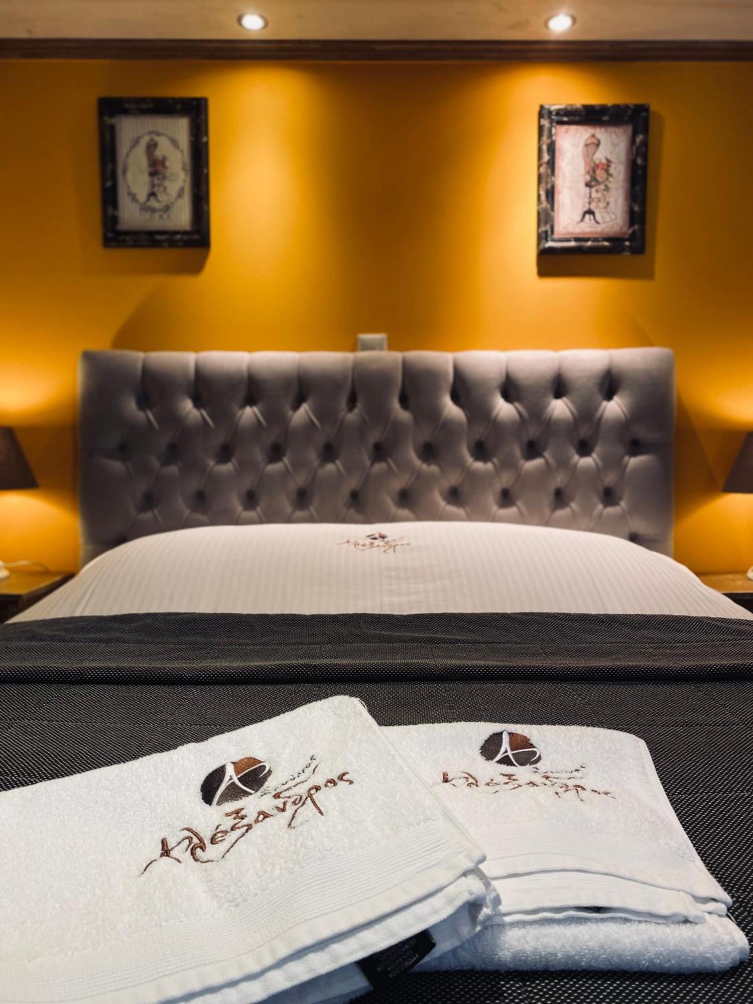 Alexandros Guesthouse Arachova Luaran gambar