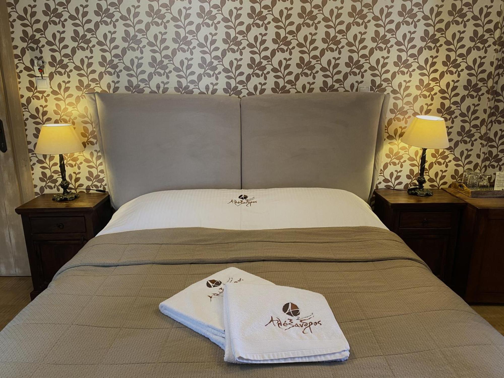 Alexandros Guesthouse Arachova Luaran gambar